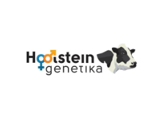 Holstein Genetika